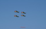 bias_zlin142-2.JPG
