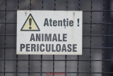 gradina-zoologica-baneasa-anunt-4.JPG
