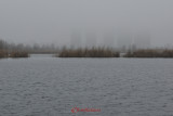 nikon-70-200-lacul-vacaresti-5.JPG