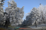parcul-carol-nikond5300-14.JPG