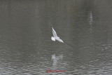 parcul-carol-nikond5300-40.JPG