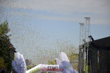 the-color-run-bucuresti-11.JPG