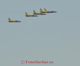 bias-baltic-bees-10.JPG