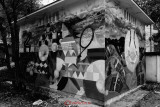picture-effect-high-contrast-mono.JPG