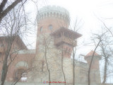 olympus-sp100ee-soft-focus.JPG