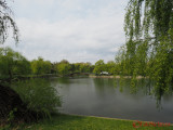 olympus-9-18mm-9mm.JPG