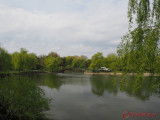 olympus-12-40-12mm.JPG
