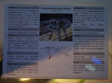 muzeul-antipa-paianjeni-scorpioni-34.JPG