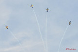 baltic-bees-bias-2015-37.JPG