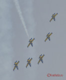 baltic-bees-l39c-bias-2015-4.JPG