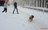 iarna-zapada-bucuresti-14.JPG