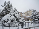 iarna-zapada-bucuresti-27.JPG