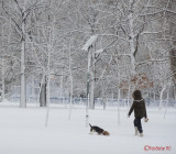 iarna-zapada-bucuresti-37.JPG