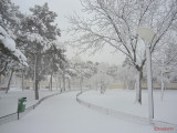 oraselul-copiilor-iarna-zapada-bucuresti-17.JPG