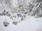parcul-tineretului-iarna-zapada-bucuresti-1.JPG