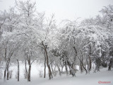 parcul-tineretului-iarna-zapada-bucuresti-10.JPG