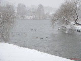 parcul-tineretului-iarna-zapada-bucuresti-16.JPG
