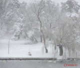 parcul-tineretului-iarna-zapada-bucuresti-17.JPG