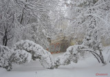 parcul-tineretului-iarna-zapada-bucuresti-2.JPG