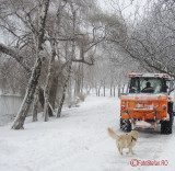 parcul-tineretului-iarna-zapada-bucuresti-21.JPG