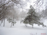 parcul-tineretului-iarna-zapada-bucuresti-22.JPG