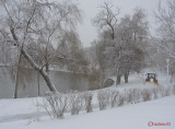 parcul-tineretului-iarna-zapada-bucuresti-27.JPG