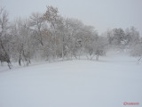 parcul-tineretului-iarna-zapada-bucuresti-28.JPG