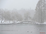 parcul-tineretului-iarna-zapada-bucuresti-29.JPG