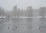 parcul-tineretului-iarna-zapada-bucuresti-30.JPG