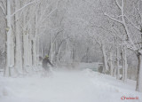 parcul-tineretului-iarna-zapada-bucuresti-4.JPG