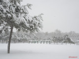 parcul-tineretului-iarna-zapada-bucuresti-7.JPG