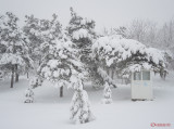 parcul-tineretului-iarna-zapada-bucuresti-32.JPG