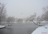 parcul-tineretului-iarna-zapada-bucuresti-37.JPG