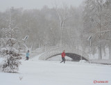 parcul-tineretului-iarna-zapada-bucuresti-38.JPG