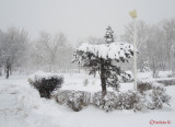 parcul-tineretului-iarna-zapada-bucuresti-46.JPG