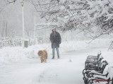 parcul-tineretului-iarna-zapada-bucuresti-49.JPG