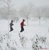 parcul-tineretului-iarna-zapada-bucuresti-50.JPG