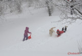 parcul-tineretului-iarna-zapada-bucuresti-54.JPG