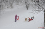 parcul-tineretului-iarna-zapada-bucuresti-56.JPG