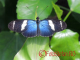 artis-zoo-amsterdam-48.JPG