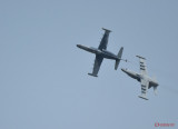 L-159-Alca-airshow-bias2016-27.JPG