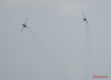L-159-Alca-airshow-bias2016-41.JPG