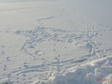 zapada-parc-titan-ior-bucuresti-34.jpg