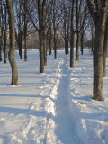 zapada-parc-titan-ior-bucuresti-37.jpg