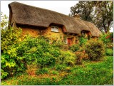 Thatched Cottage