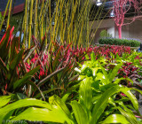 Flower Show 2014-22.jpg