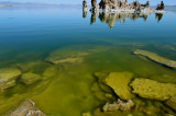 Mono Lake Tufa