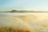 Foggy-Light.gif