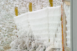 Hoar-Frost-On-Fence.jpg