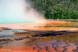 Mineral-Pool.jpg
